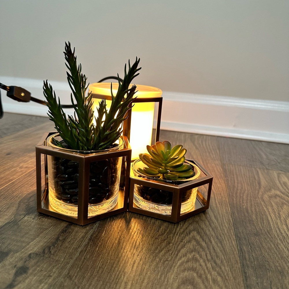 Wild Desert Scentsy Warmer - Picture 2 of 7